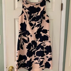 The Limited pink and navy dress